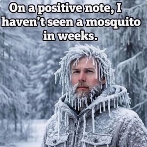 So cold this closet gives discounts 🥶